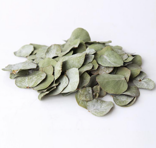 Biodegradable Real Eucalyptus Leaves