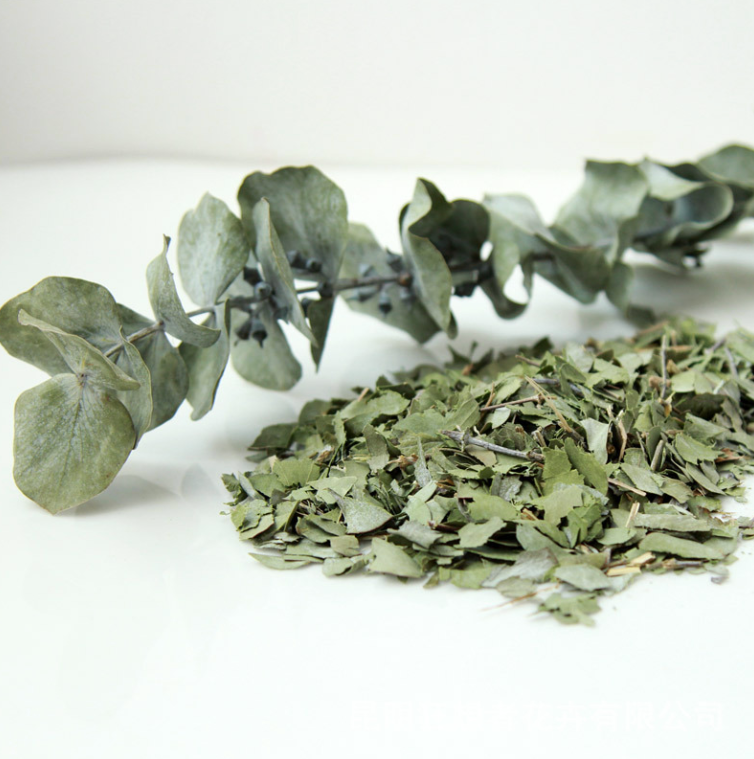 Biodegradable Real Eucalyptus Leaves