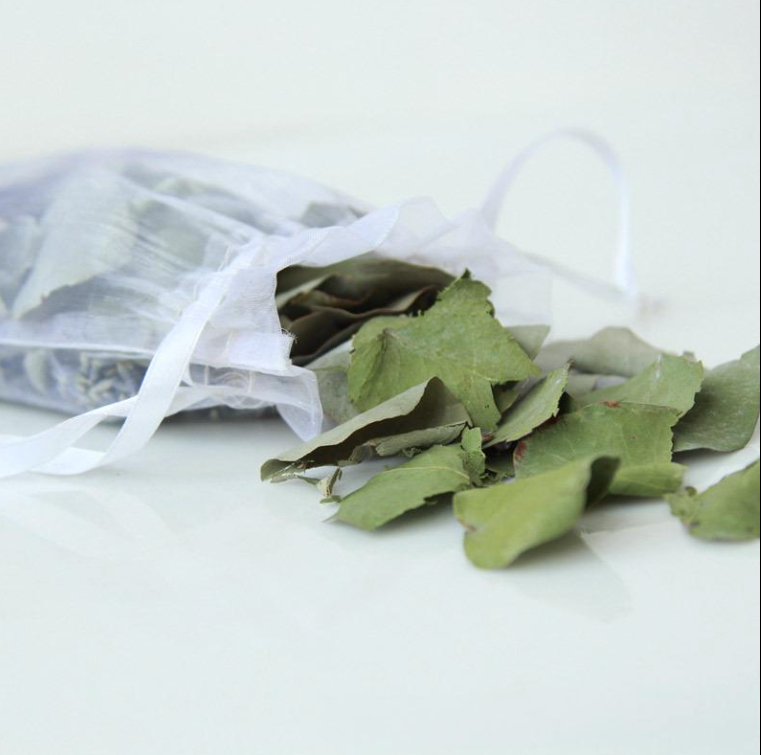 Biodegradable Real Eucalyptus Leaves