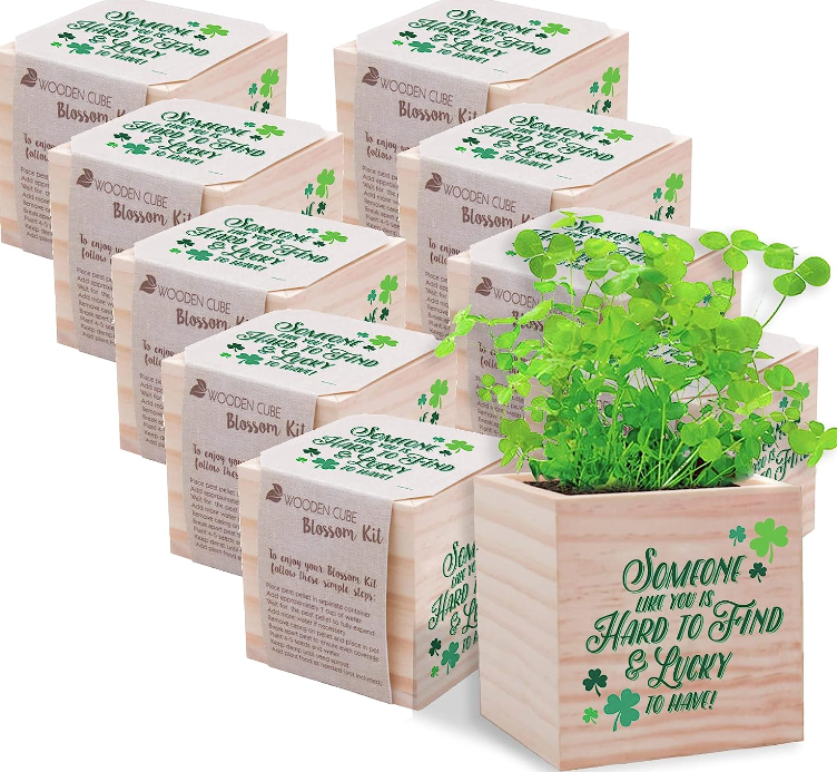 Indoor Kid Diy Wooden Pot Small Plant Desktop Growing