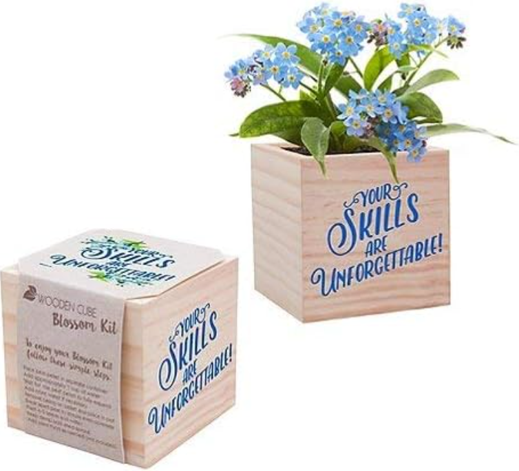 Indoor Kid Diy Wooden Pot Small Plant Desktop Growing