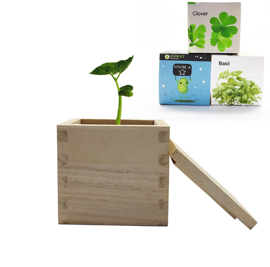 Indoor Kid Diy Wooden Pot Small Plant Desktop Growing