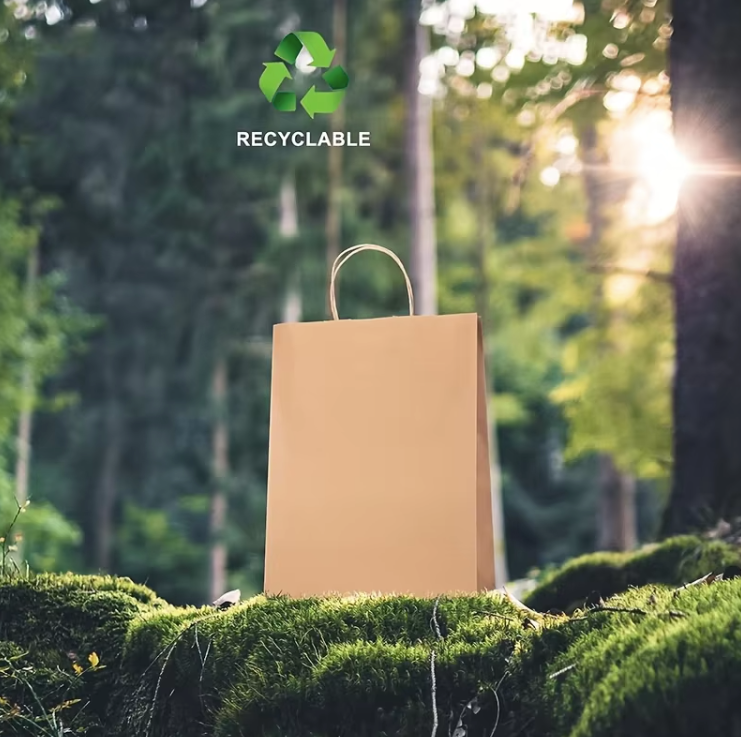 Paper Bags with Processed Colored Kraft Paper Bags | Pack of 25